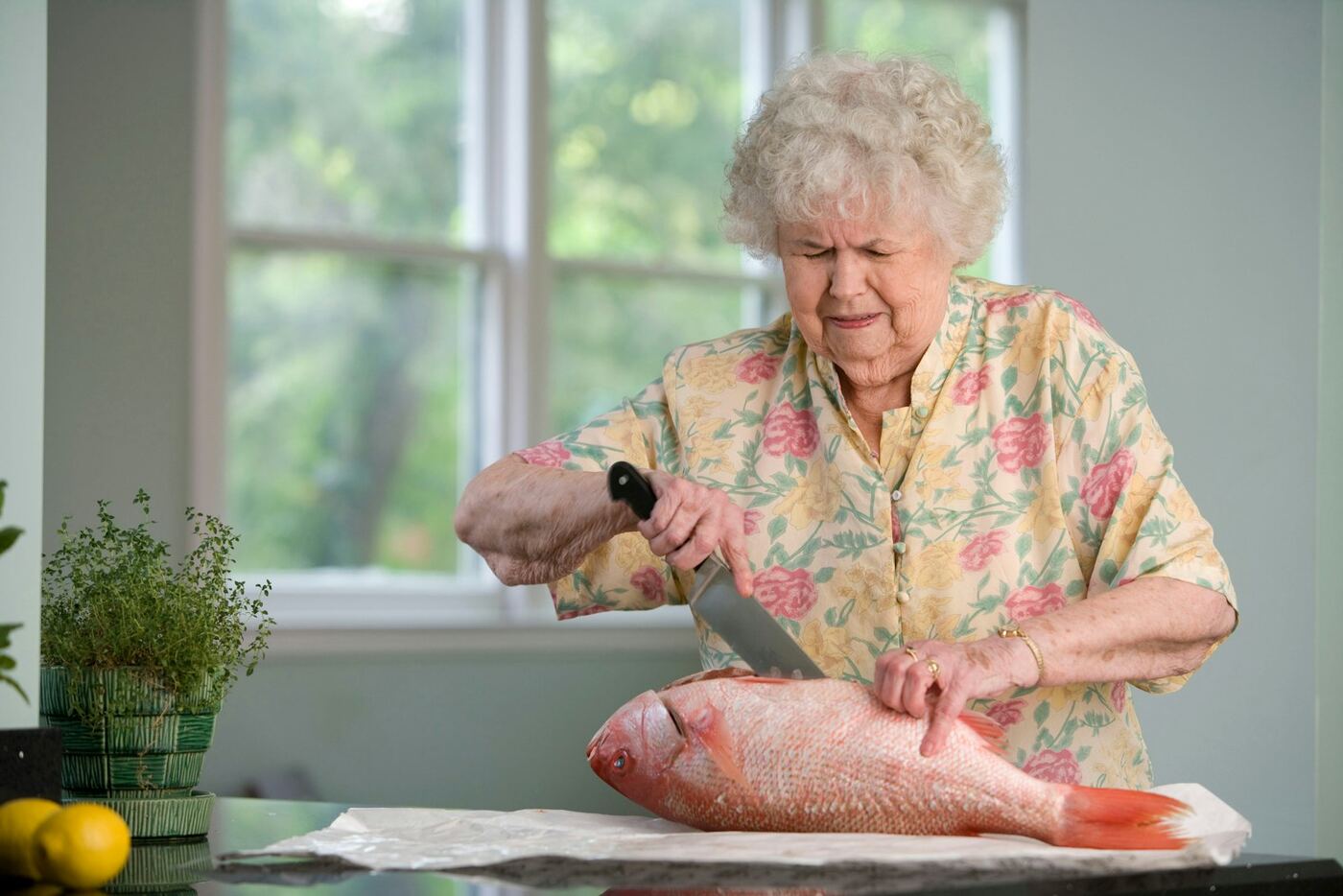 Illustrative stock photo of older adults enjoying a garden walk