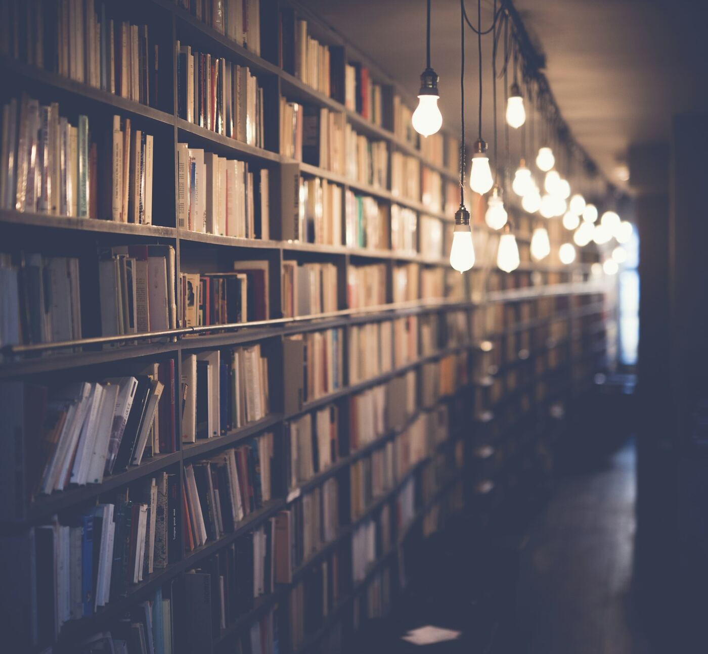 Illustrative stock photo of a warmly lit library space